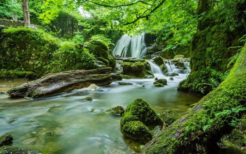 高标准绿色高效